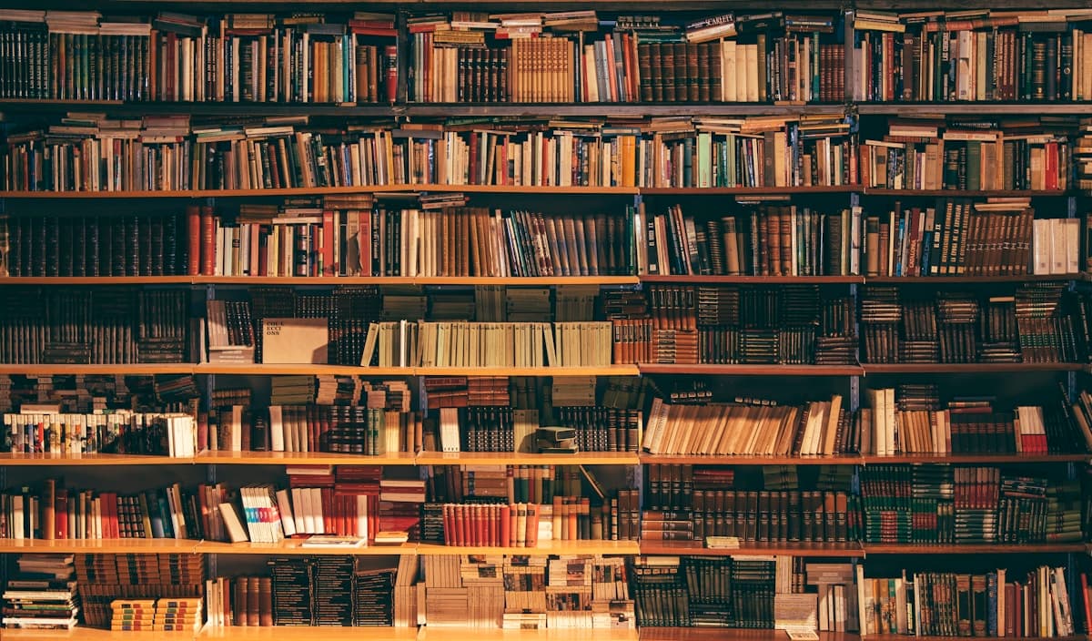 Quiet editorial bookshelf, soft warm light