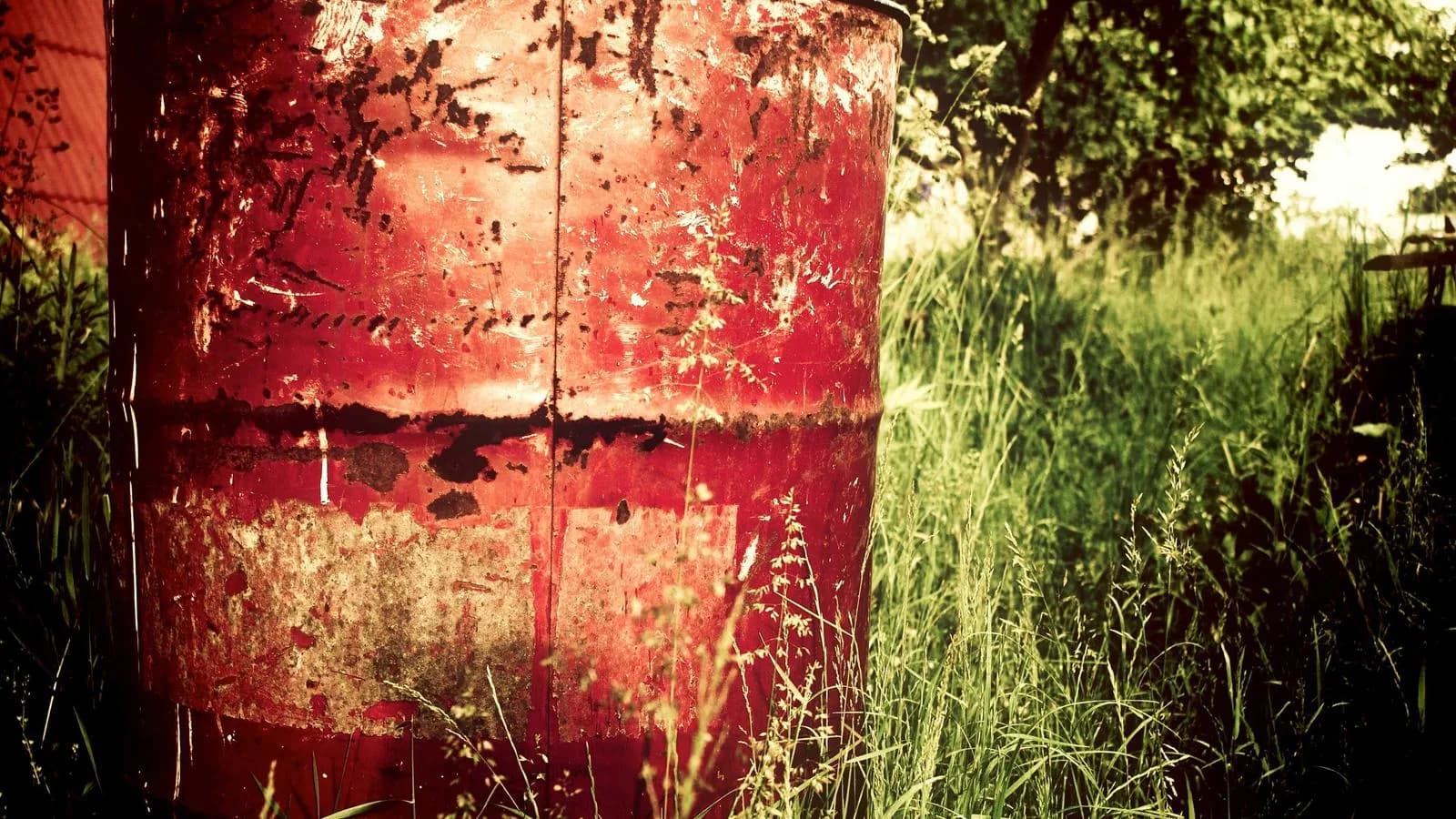 Red Flags to Watch for When Choosing a White Label Web Partner